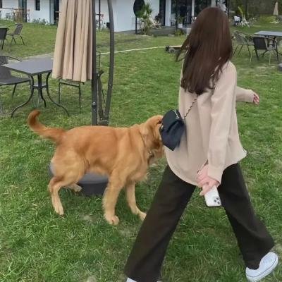 不只是闺蜜